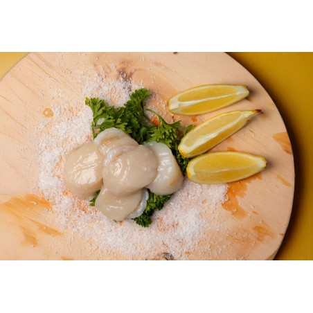 Noix de Saint-Jacques