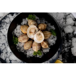 20 Praires de la baie de Granville