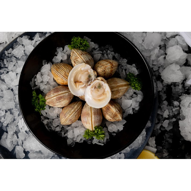 20 Praires de la baie de Granville