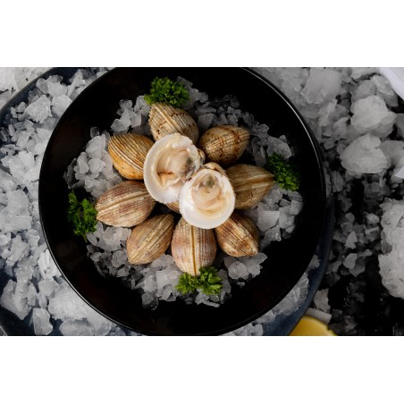 Praires de la baie de Granville