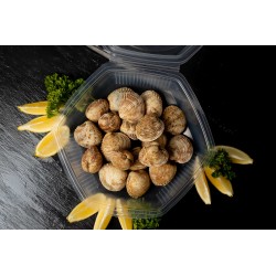 Praires de la baie de Granville